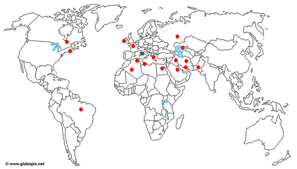 WORLDWIDE BUSINESS AREA